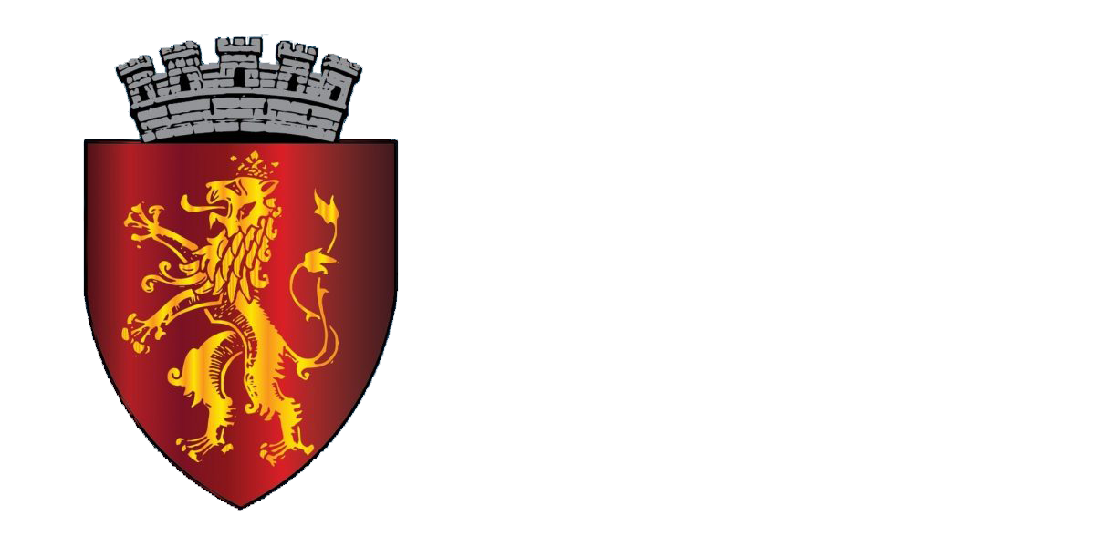 Avizier Primaria Sebeș